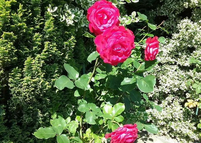 Haus Granitz Apartment